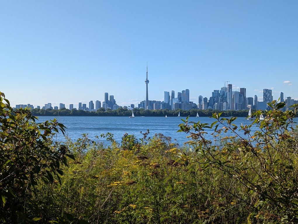 My new town, Toronto